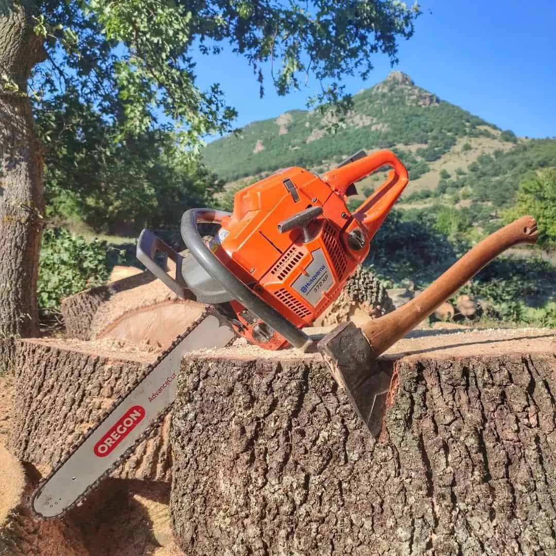 Chainsaw at an angle in the wood 